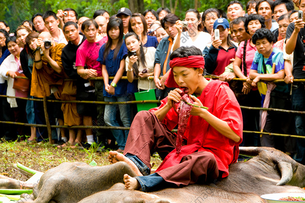 ẩm thực, thái lan, sắc thái văn hóa dân tộc lanna tại chiang mai, thái lan