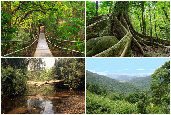 điểm đẹp, thái lan, trải nghiệm thú vị ở vườn quốc gia khao yai - thái lan