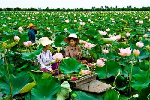 Đến Thái Lan trải nghiệm với du lịch nông thôn