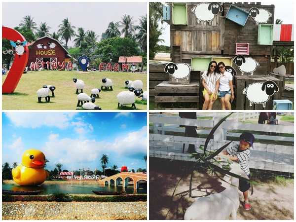 Ghé thăm 7 nông trại hấp dẫn trong hành trình du lịch Thái Lan