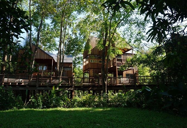kinh nghiệm, thái lan, cùng khám phá 9 khách sạn giữa rừng tuyệt đẹp ở thái lan