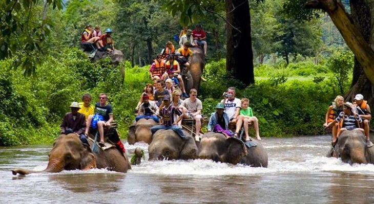 Du lịch Hua Hin (Thái Lan), đừng quên trải nghiệm với Tour cưỡi voi