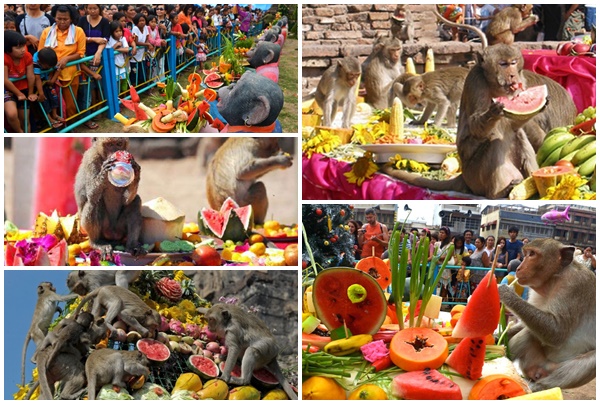 thái lan, văn hóa thái lan, cùng tham gia lễ hội buffet cho khỉ độc đáo nhất của thái lan