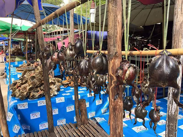 Trải nghiệm với món ăn dân dã Ễnh ương cay ở Udon Thani, Thái Lan
