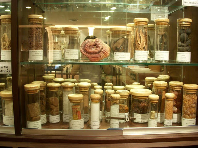 điểm đẹp, thái lan, viện bảo tàng y học siriraj - điểm đến rùng rợn nhất tại thái lan