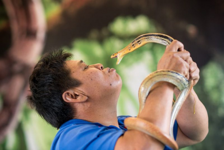 Trại rắn Bangkok – Bangkok Snake Farm