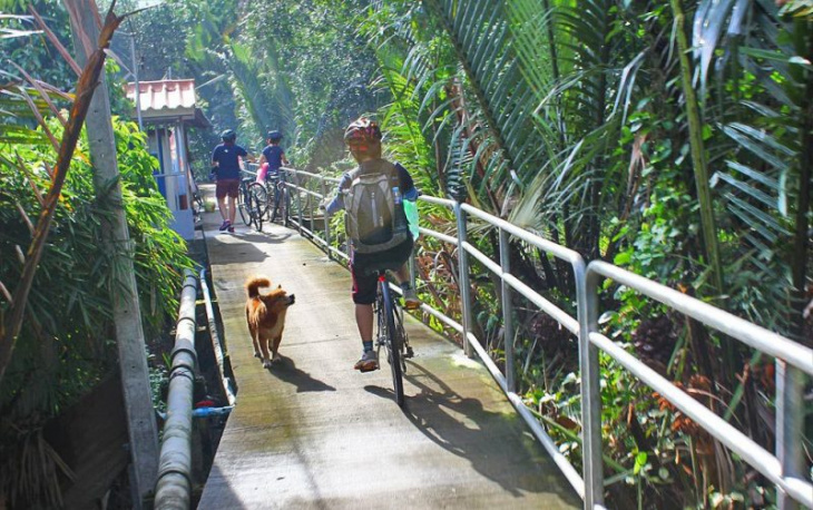 Trekking xuyên rừng Bangkok bằng xe đạp ở Bang Kra Jao