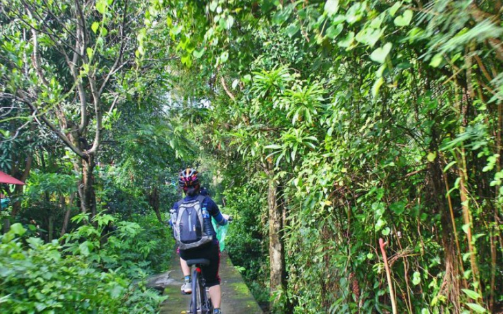 trekking xuyên rừng bangkok bằng xe đạp ở bang kra jao