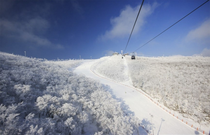 Vì sao tour trượt tuyết Hàn Quốc lại 