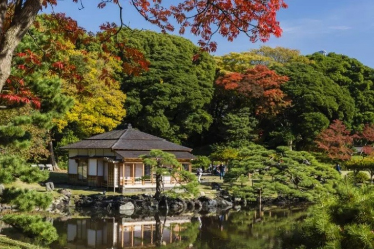 khám phá, trải nghiệm, top 10 những địa điểm ngắm lá vàng, lá đỏ ở tokyo