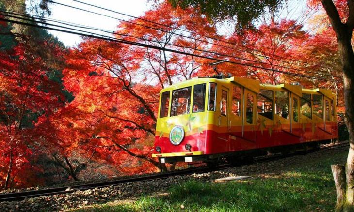 khám phá, trải nghiệm, top 10 những địa điểm ngắm lá vàng, lá đỏ ở tokyo