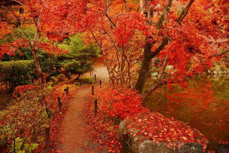 Top 10 địa điểm ngắm lá đỏ ở Kyoto không nên bỏ lỡ