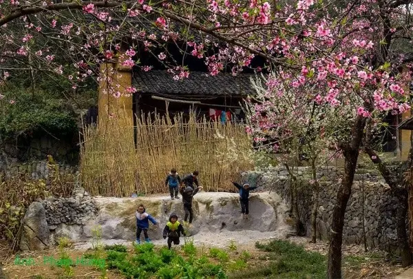 Du lịch Hà Giang tháng 2 - Mùa hoa đào nở rộ