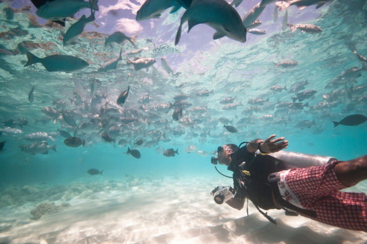 khám phá, trải nghiệm, tour du lịch maldives trọn gói 5 sao chỉ 27 triệu bạn tin không?