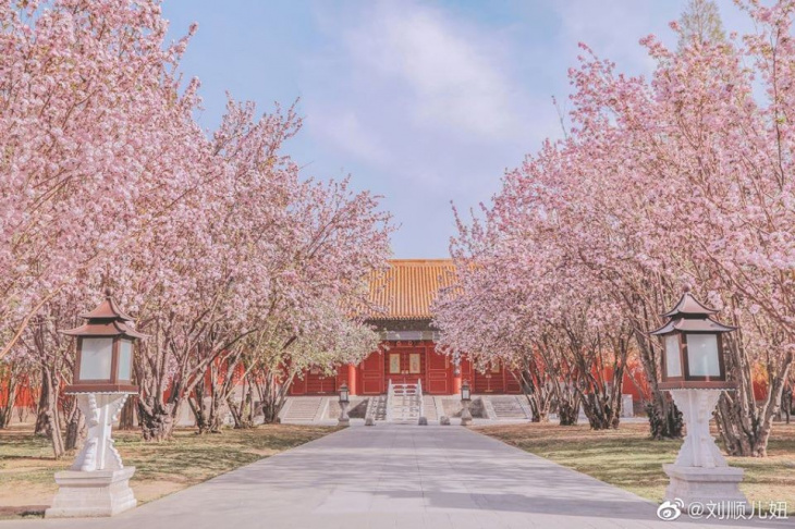 Điểm tên những nơi “đẹp như tranh vẽ” mùa xuân Trung Quốc nổi tiếng nhất