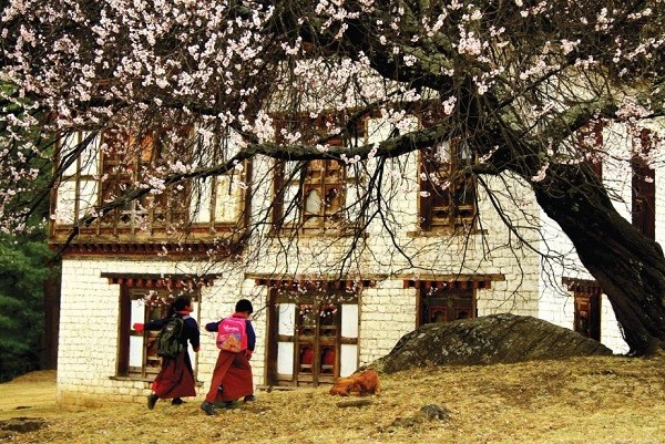Khám phá nét đặc sắc trong văn hóa truyền thống Bhutan