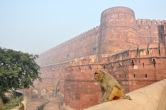 Pháo đài Agra Ấn Độ và những bí ẩn bạn chưa biết