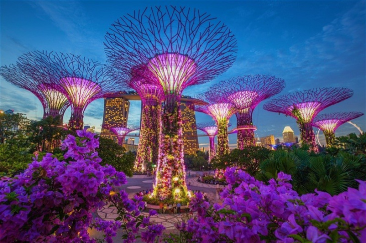 Khám phá du lịch Singapore tháng 3 lung linh sắc màu
