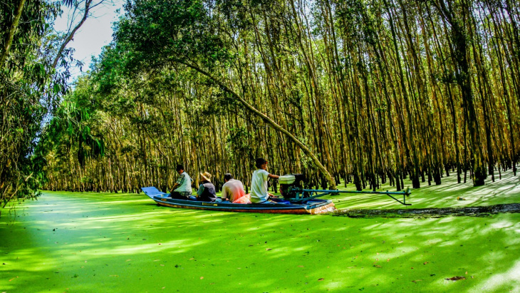 khám phá, trải nghiệm, vẻ đẹp tự nhiên của rừng tràm trà sư – an giang