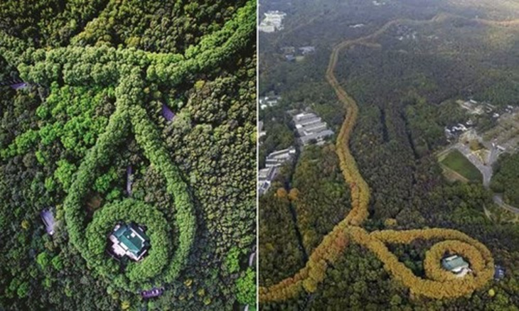 Khám phá vẻ đẹp của Cung điện Mỹ Linh ở Giang Tô, Trung Quốc