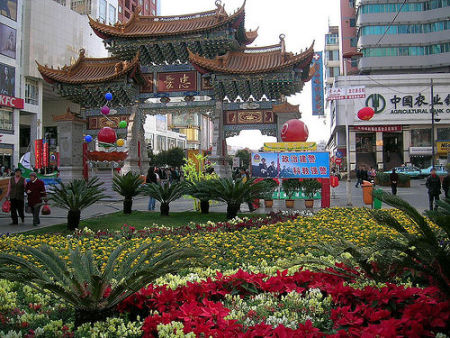 Rực rỡ lễ hội hoa ở Côn Minh, Trung Quốc