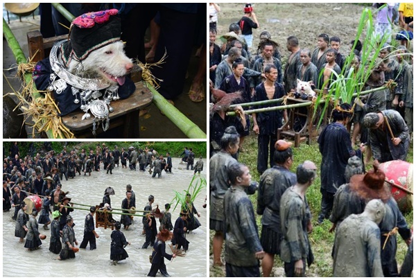Khám phá lễ hội kiệu chó Taigoujie độc nhất vô nhị ở Trung Quốc