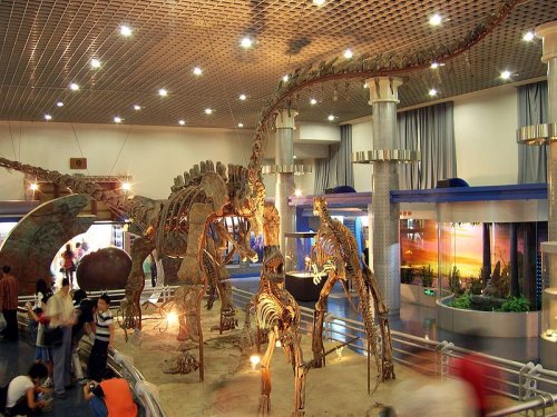 Tham quan Bảo tàng Lịch sử Tự nhiên ở Bắc Kinh, Trung Quốc