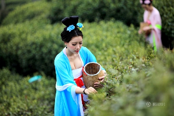 Vị thơm ngon của Trà Trinh Nữ nổi tiếng tại Trung Quốc