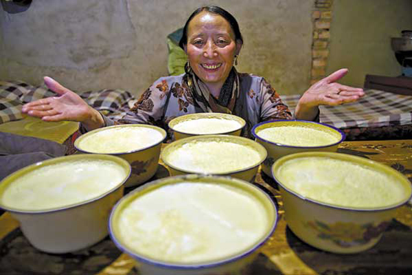 ẩm thực, trung quốc, tham gia lễ hội sữa chua truyền thống lớn nhất ở tây tạng, tq