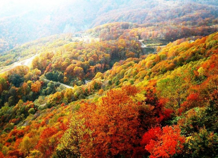 điểm đẹp, trung quốc, mãn nhãn mùa thu lá đỏ tại công viên hương sơn, trung quốc