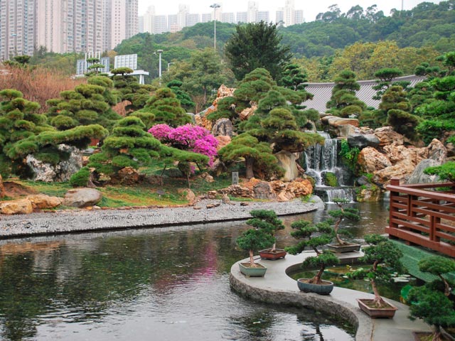 điểm đẹp, trung quốc, cảnh sắc tuyệt đẹp của vườn nam liên (nan lian garden) ở hồng kông
