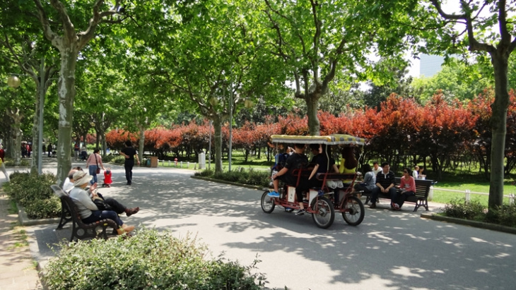 Công viên Thế Kỷ - không gian thanh bình, xanh mát ở Thượng Hải