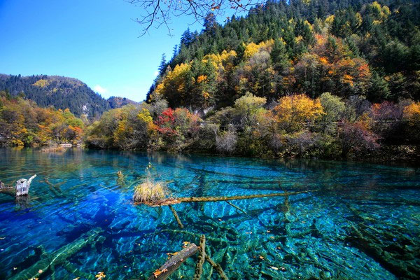Vẻ đẹp của Công viên Quốc gia thung lũng Jiuzhai ở Trung Quốc