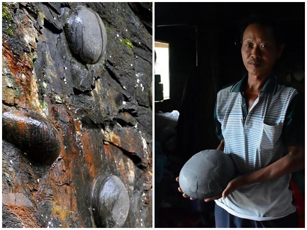 Khám phá vách đá kỳ lạ 30 năm đẻ trứng một lần ở Trung Quốc