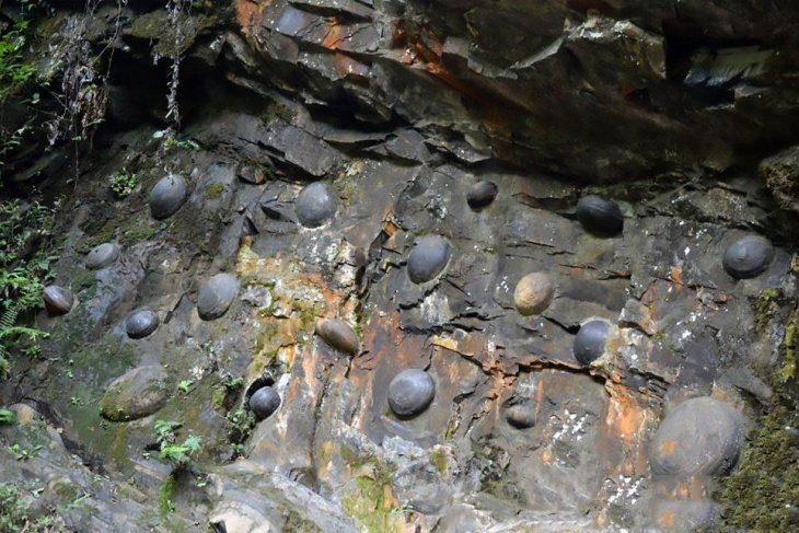 điểm đẹp, trung quốc, khám phá vách đá kỳ lạ 30 năm đẻ trứng một lần ở trung quốc