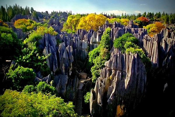 Rừng đá Thạch Lâm - phong cảnh thần thiên ở Trung Quốc