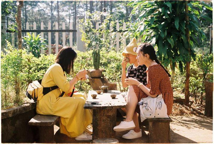 homestay kon tum, homestay măng đen, homestay kon tum giá rẻ view đẹp, top 10 homestay kon tum giá rẻ và chất lượng đáng dừng chân