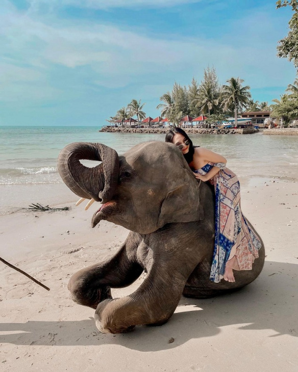 đảo koh chang thái lan, khám phá, trải nghiệm, đến đảo koh chang thái lan cưỡi voi xuyên rừng, khoe dáng với bikini trên những bãi biển đẹp
