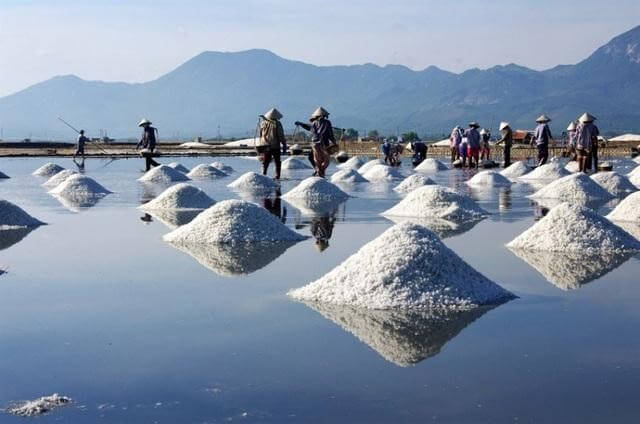 Mách bạn top các ruộng muối Ninh Thuận trải dài bát ngát quên lối về