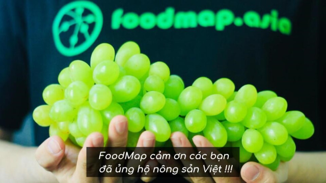 Top 10 địa chỉ mua nho xanh Ninh Thuận uy tín