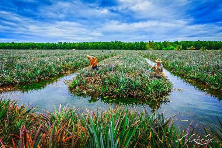 9 địa điểm du lịch hậu giang bạn phải đến một lần