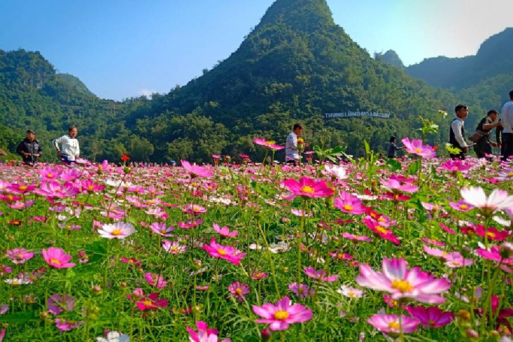 check-in tại top 13 địa điểm du lịch lạng sơn xinh lung linh
