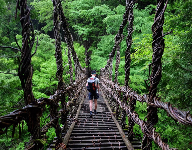 Cầu Kazura, điểm đến thú vị tại tỉnh Tokushima.