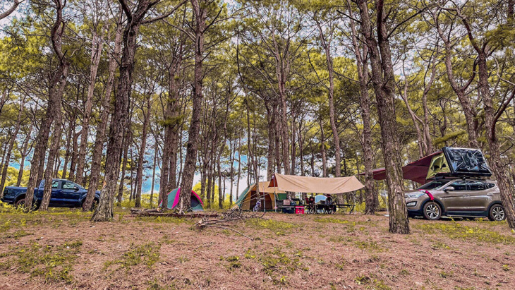 Trải nghiệm camping Gia Lai cắm trại ở đồi thông Diên Phú