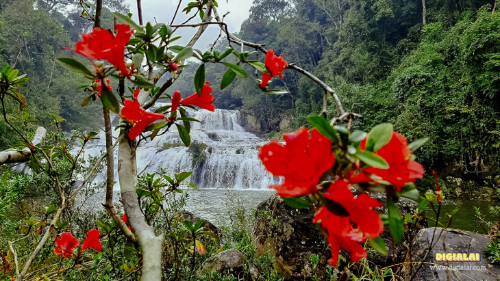 thác kon bông (thác ba tầng) vẻ đẹp say đắm giữa rừng xanh