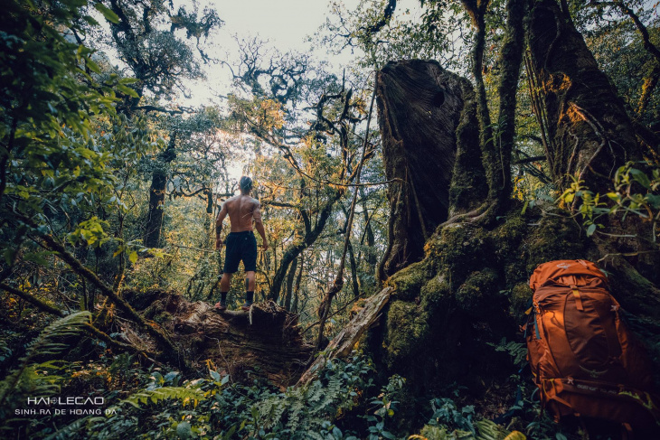 review putaleng – khu rừng nguyên sinh như trong phim ảnh.