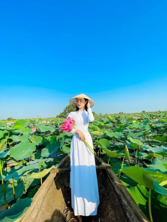 Cảnh đẹp Gia Lai: Đầm sen xã Ia Yeng, Phú Thiện.