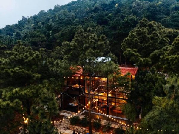 Top 6 homestay rừng thông Sóc Sơn cực chill, cực chất
