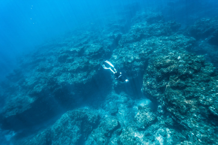 khám phá, trải nghiệm, mời xem ảnh chụp một chuyến lặn tự do tuyệt đẹp tại đảo phú quý - bình thuận