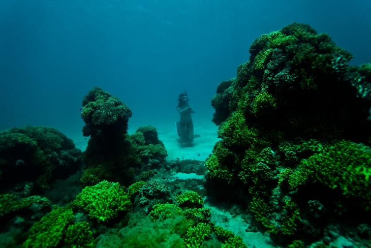 khám phá, trải nghiệm, mời xem ảnh chụp một chuyến lặn tự do tuyệt đẹp tại đảo phú quý - bình thuận